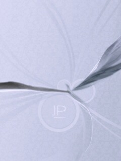 Силуэт птицы обои