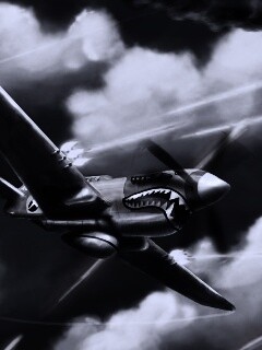 Истребитель акула обои