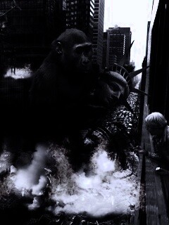 Обезьяна терроизирует Нью-Йорк обои