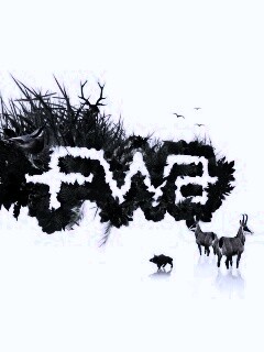 FWA обои