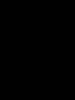 The colour three обои