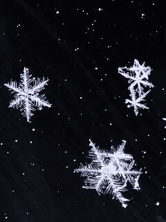 Снежинки обои