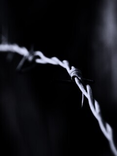 Колючая проволока обои