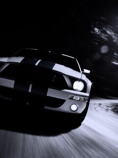 Форд Шелби с синими полосками обои