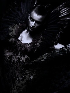 Костюм жар птицы обои