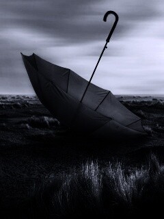 Брошенный зонт обои