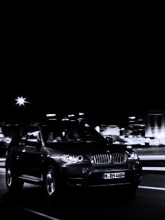 Пара в BMW X5 обои