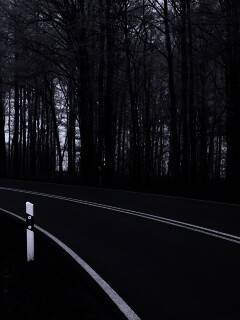 Дорога в осеннем лесу обои