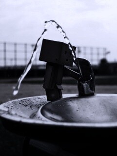 Дандо пьет в воду из фонтанчика обои