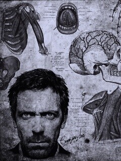 Анатомические рисунки доктора Хауса обои