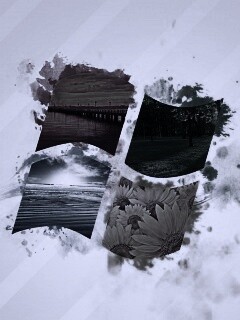 Логотип Winfdows bз фотографий природы обои