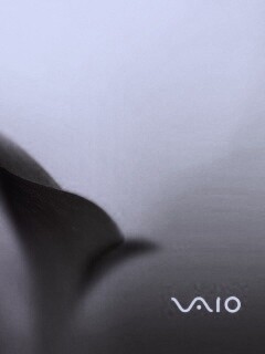 Цветок и логотип Vaio обои