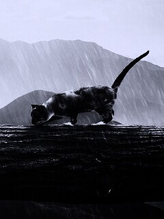 Девушка и кошка обои