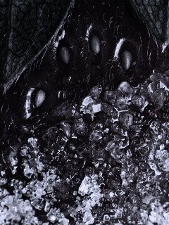 Клубника в сахаре обои