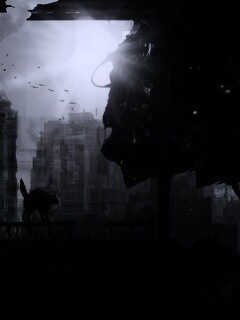 Кошкино удивление обои