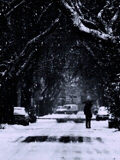 Зимняя улица обои