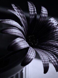 Сиреневый цветок в стакане обои