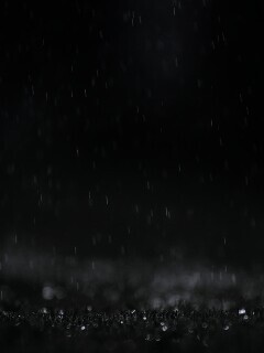 Трава под дождем обои