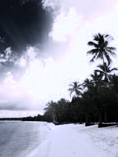 Тропическое побережье обои