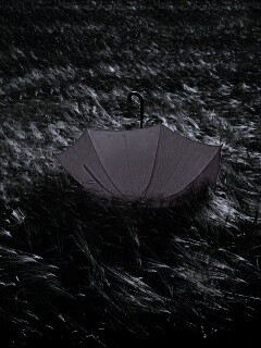 Зонт на траве обои