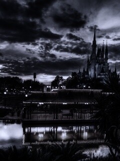 Диснеёленд вечером обои