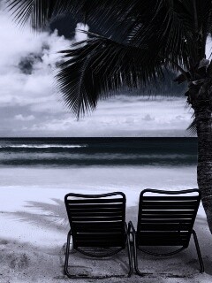 Шезлонги обои