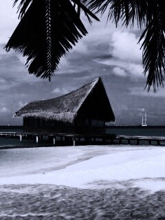 Бунгало обои