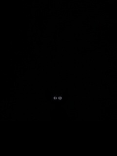 Чёрный кот в ночи обои