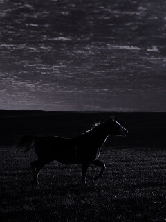 Мустанг обои