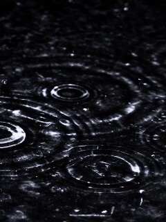 Круги на воде обои
