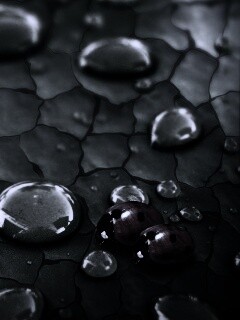 Божьи коровки обои