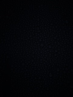 Мокрое стекло обои