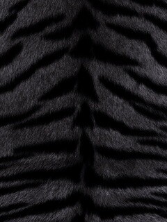 Тигриная шкура обои