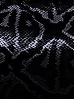 Змеиная кожа обои