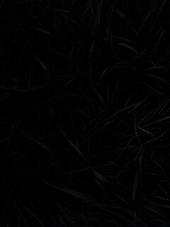 Зеленая трава обои