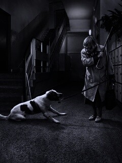 Непослушная собака обои