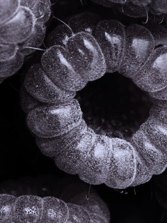 Малина обои