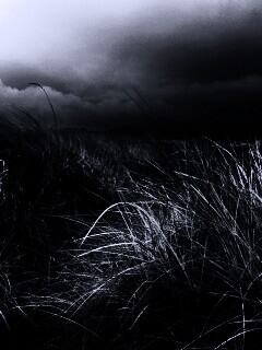 В ожидании шторма обои