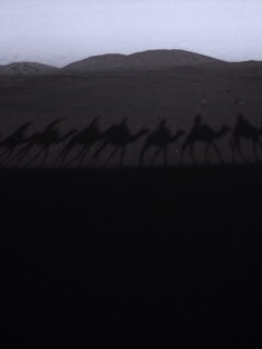 Караван обои