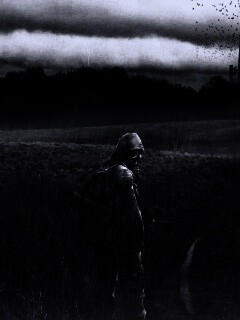 Сталкер под дождем обои