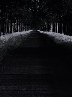 Живописная аллея обои