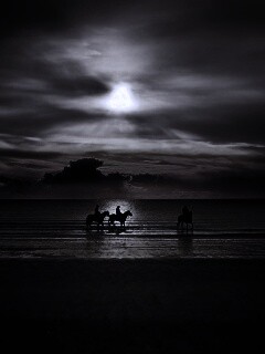 Наездники на закате обои