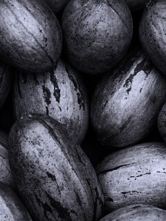 Грецкие орехи обои