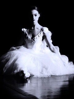 Черный лебедь обои