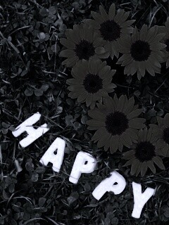 Радость обои