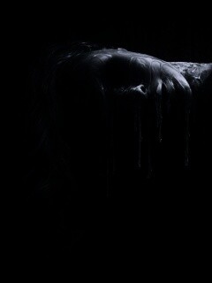 Дом восковых фигур обои