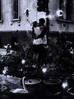 Волшебный поцелуй обои