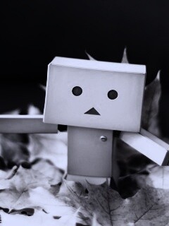  Yotsubato Danbo резвится листьях обои