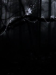 Лесные феи обои