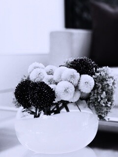 Цветы в белой вазе обои